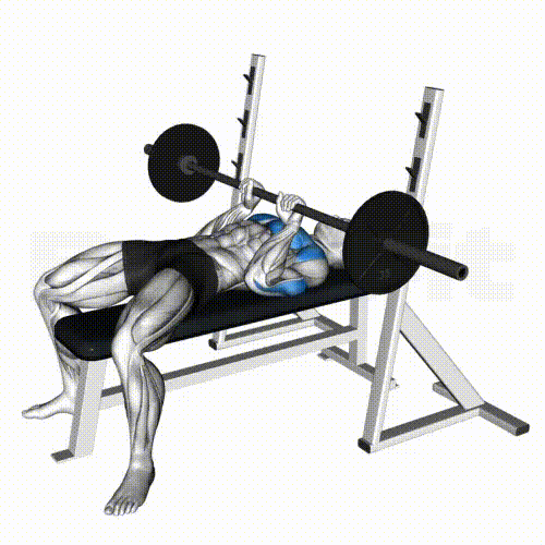 Close Grip Bench Press